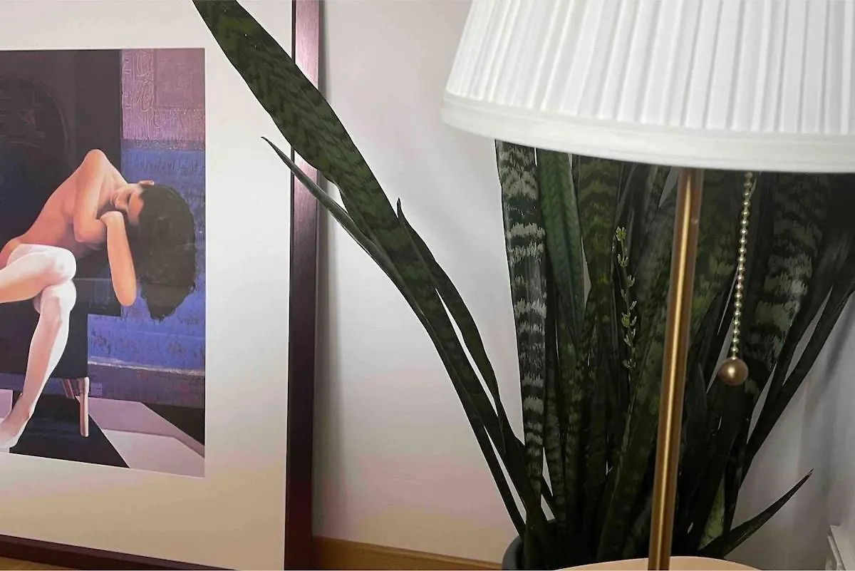 Gemuetliche Yoga-Wohnung, Ruhig, City & Stadionnaehe Dortmund 0*,